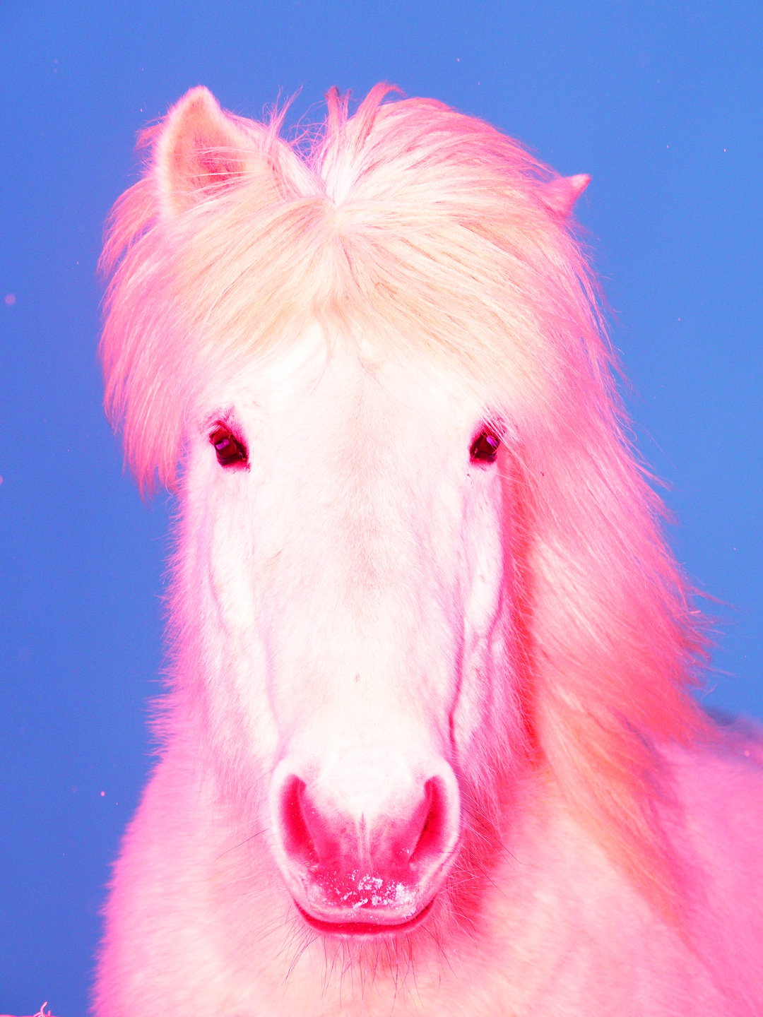 sasha-elage-magic-island-pho-itsnicethat04