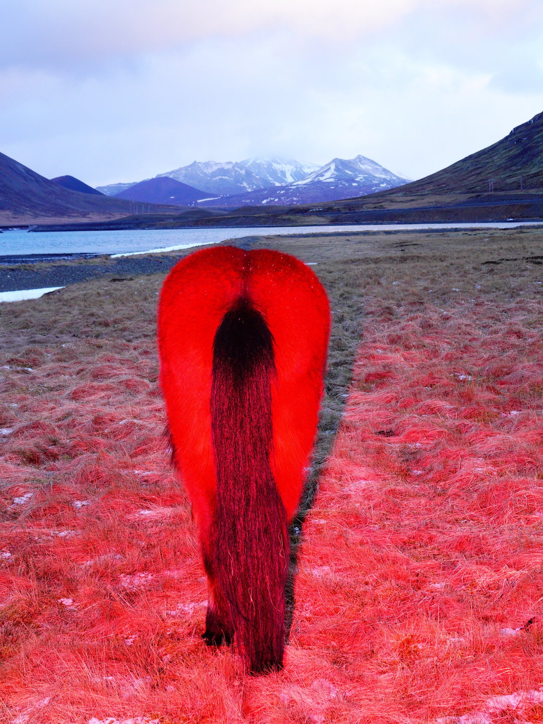 sasha-elage-magic-island-pho-itsnicethat05