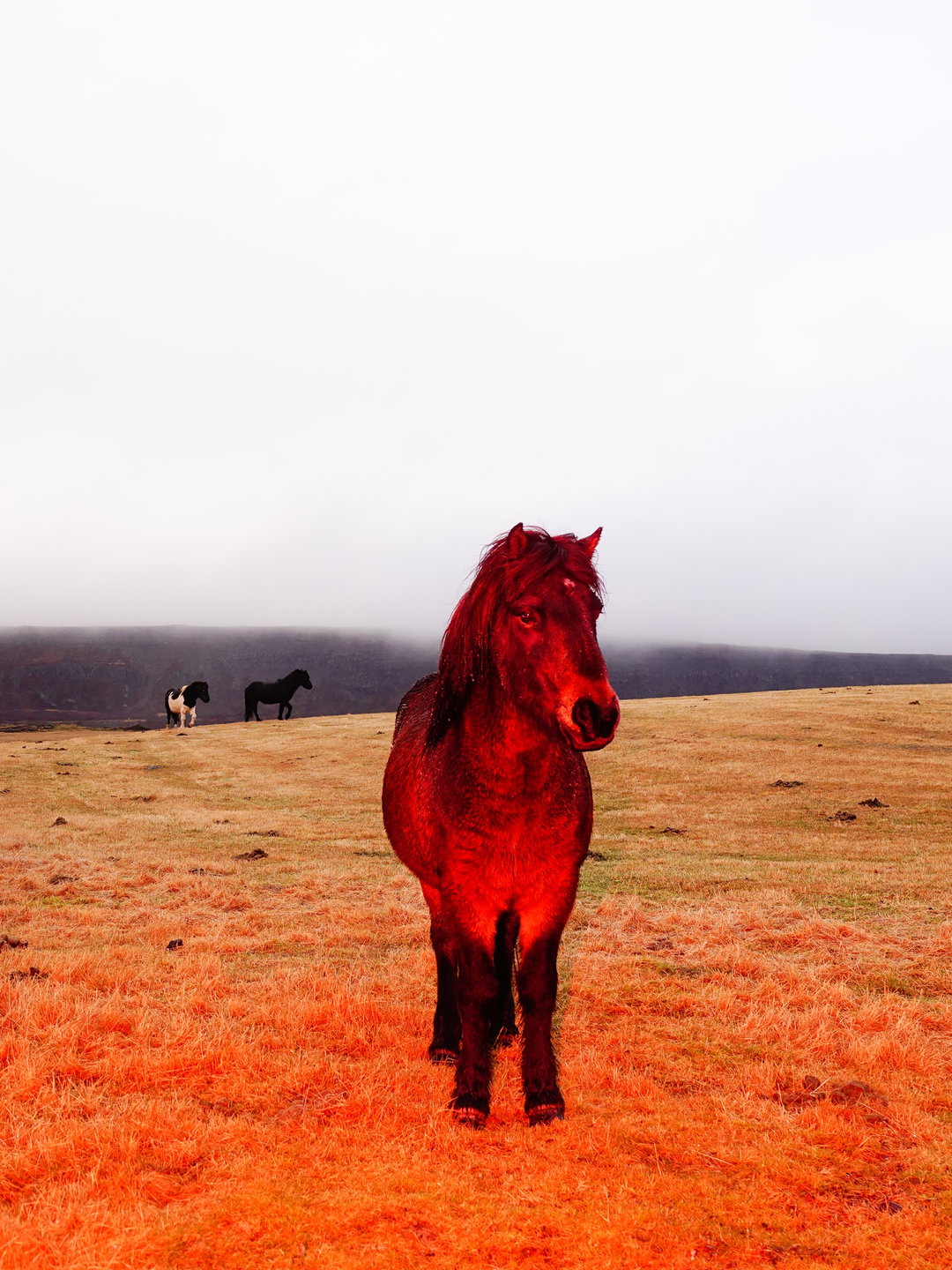 sasha-elage-magic-island-pho-itsnicethat06