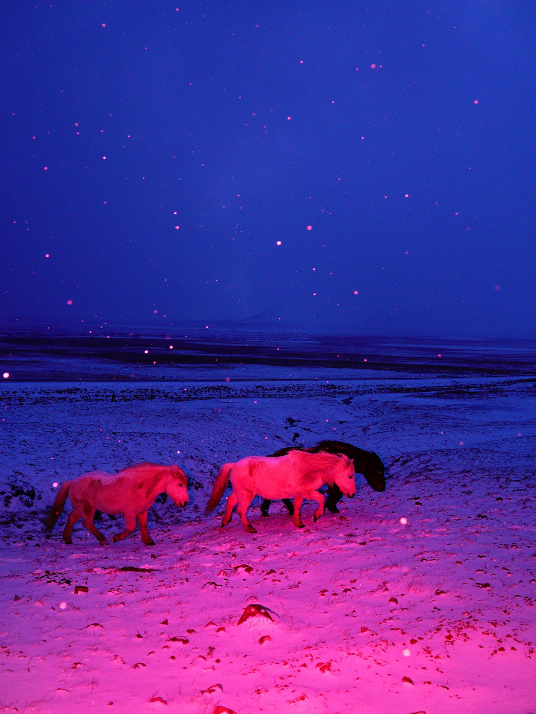 sasha-elage-magic-island-pho-itsnicethat07