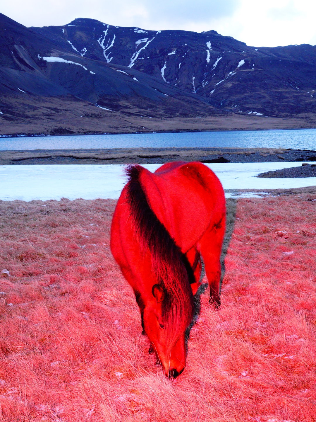 sasha-elage-magic-island-pho-itsnicethat08