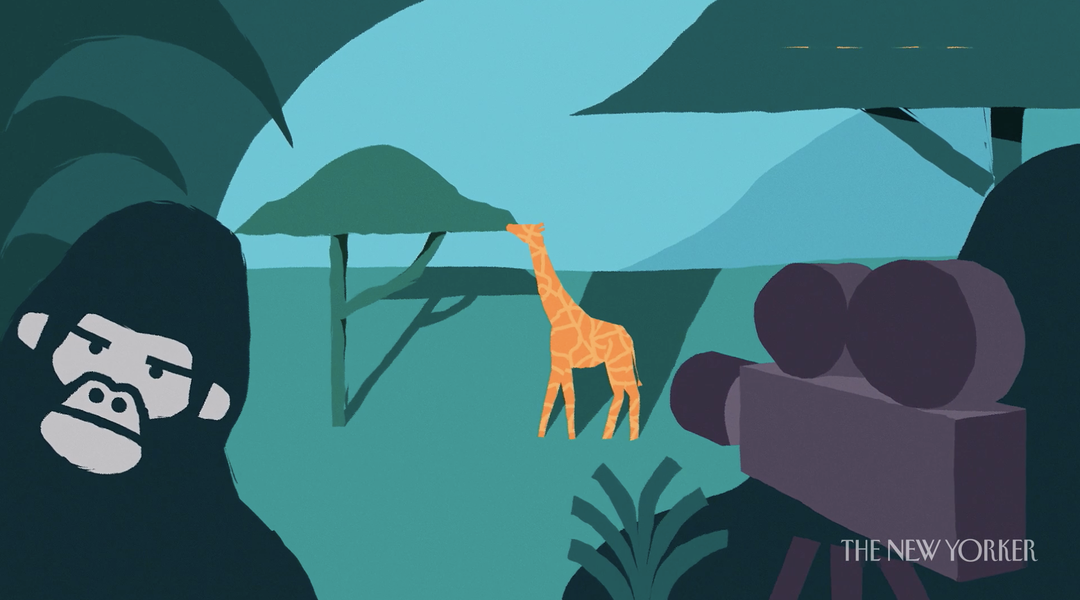 JoeDonaldson-TheNewYorker-Animation-itsnicethat-10.png