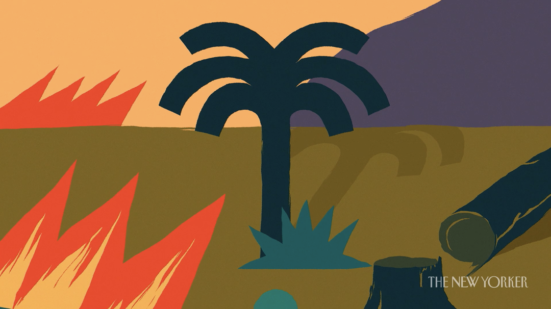 JoeDonaldson-TheNewYorker-Animation-itsnicethat-12.png