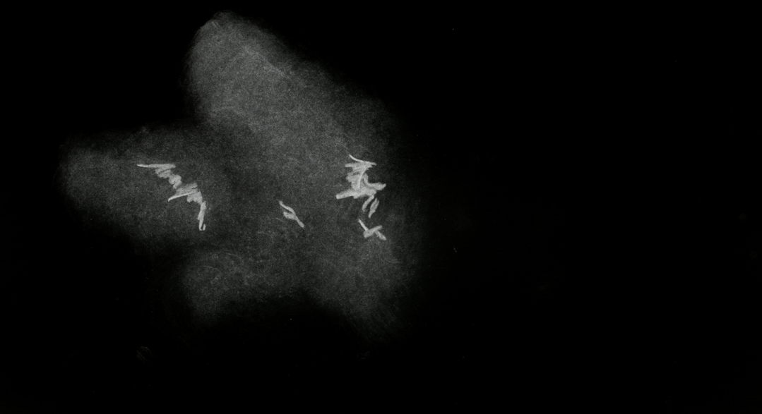 alex-peake-us-four-film-stills-itsnicethat12