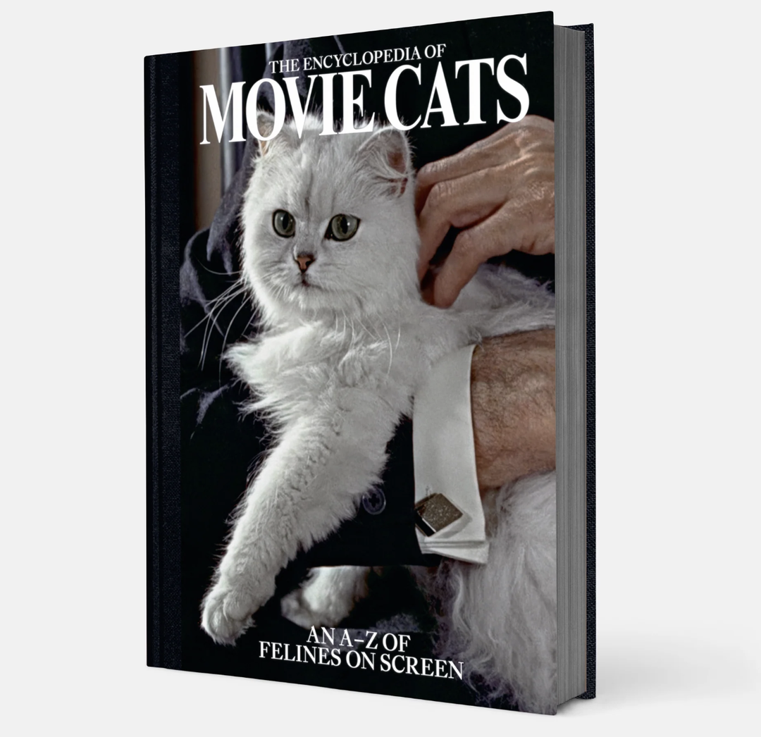 a24-cats-book-feed
