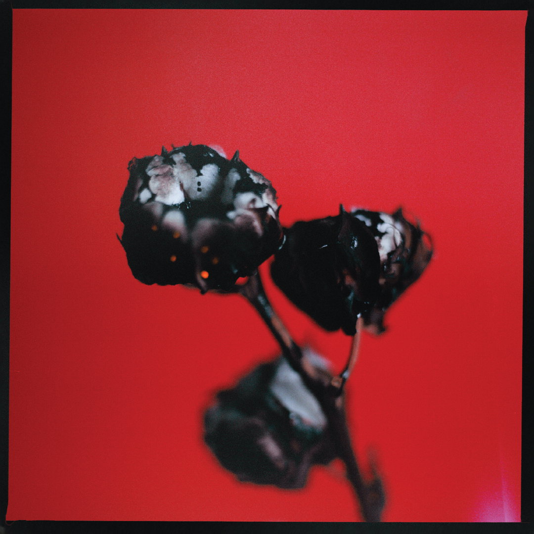 Secret 7 2020_Sleeve_044_art_itsnicethat.jpeg