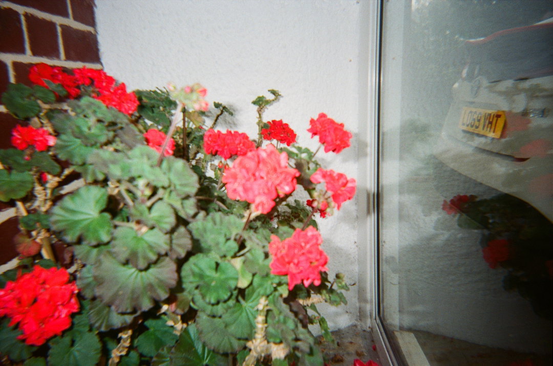 ShineCameraClub-photography-itsnicethat-5.jpg