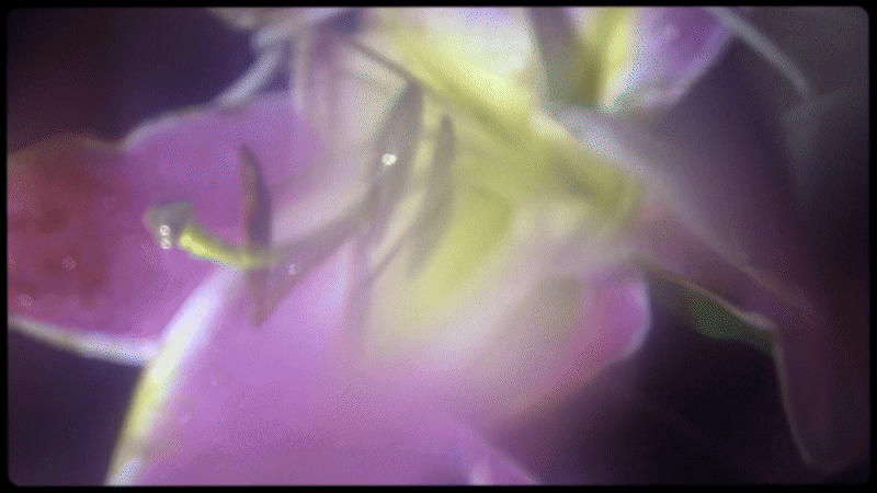 Isabel-Garrett-Blinkink-Coldplay-rainbow-film-spotlight-itsnicethat-16