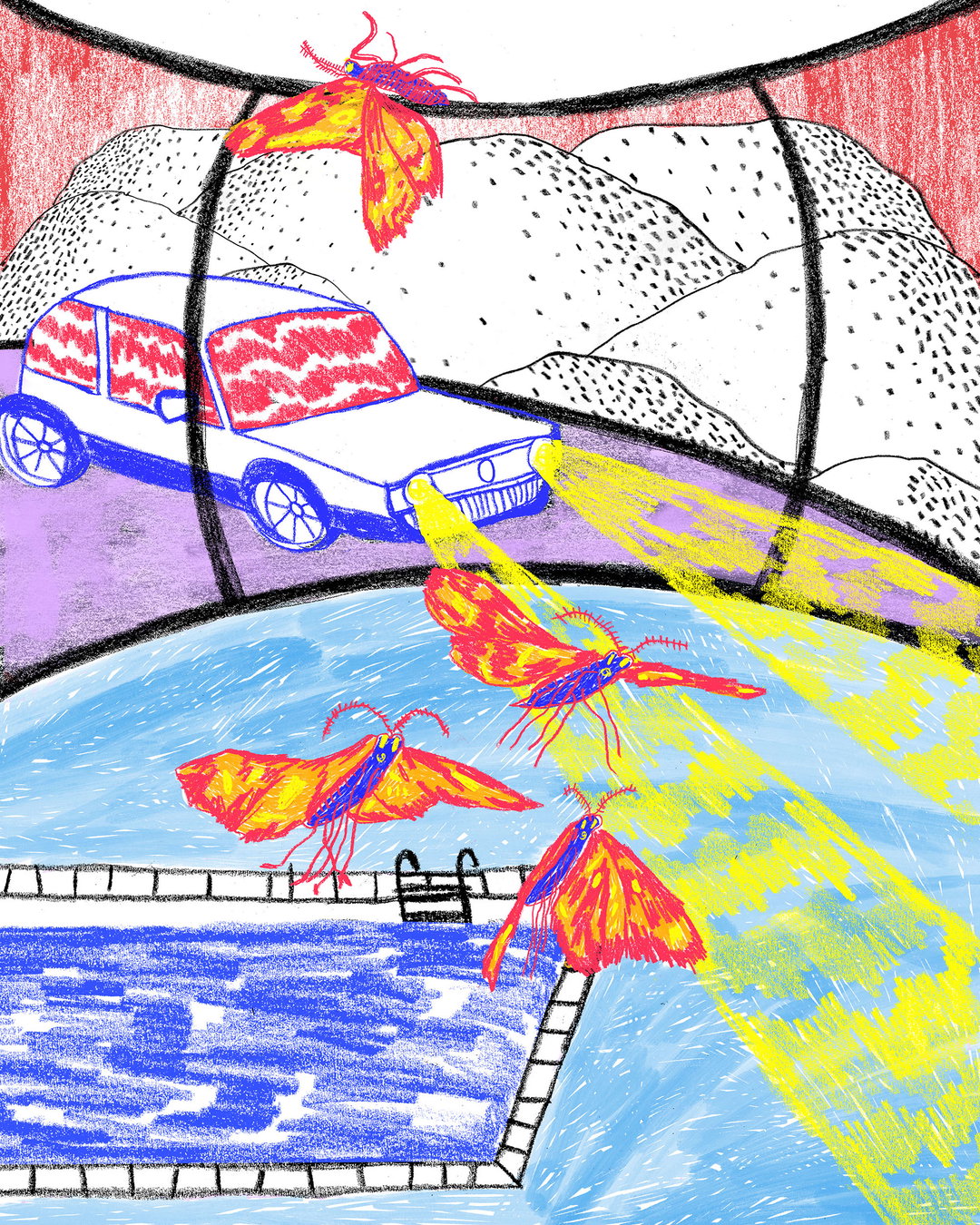 miranda-bruce-illo-itsnicethat11