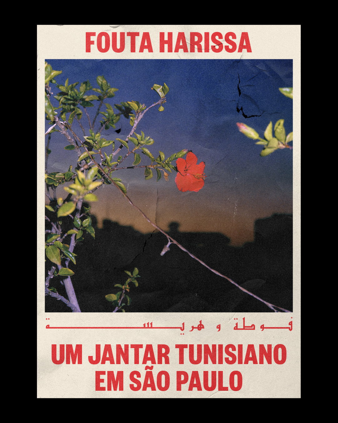 sometimes-always-fouta-harissa-graphic-design-project-itsnicethat-01