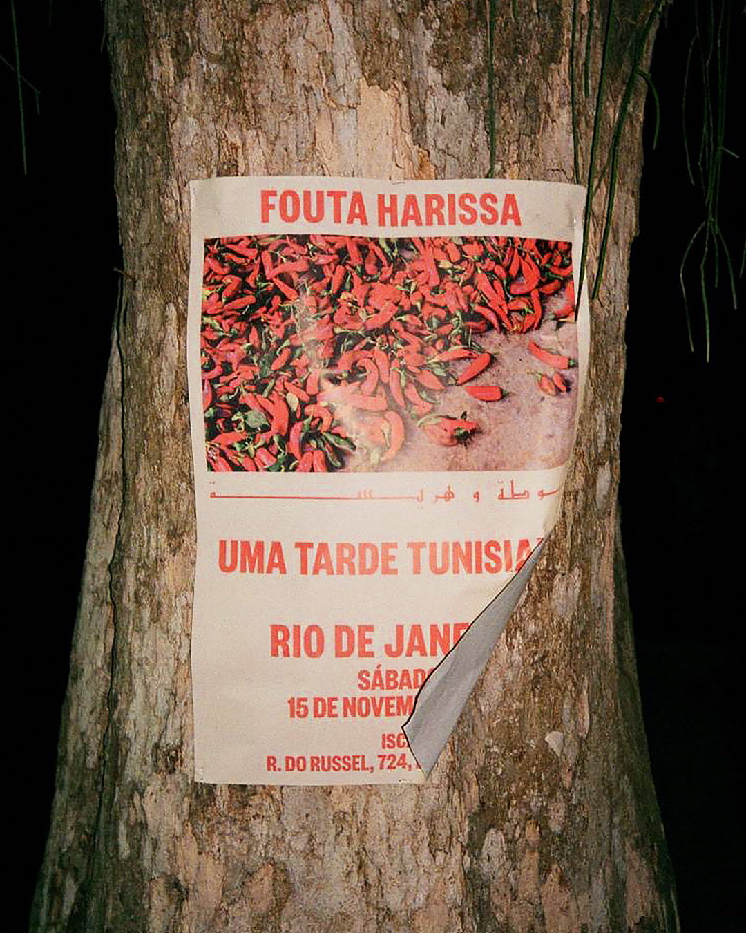 sometimes-always-fouta-harissa-graphic-design-project-itsnicethat-07