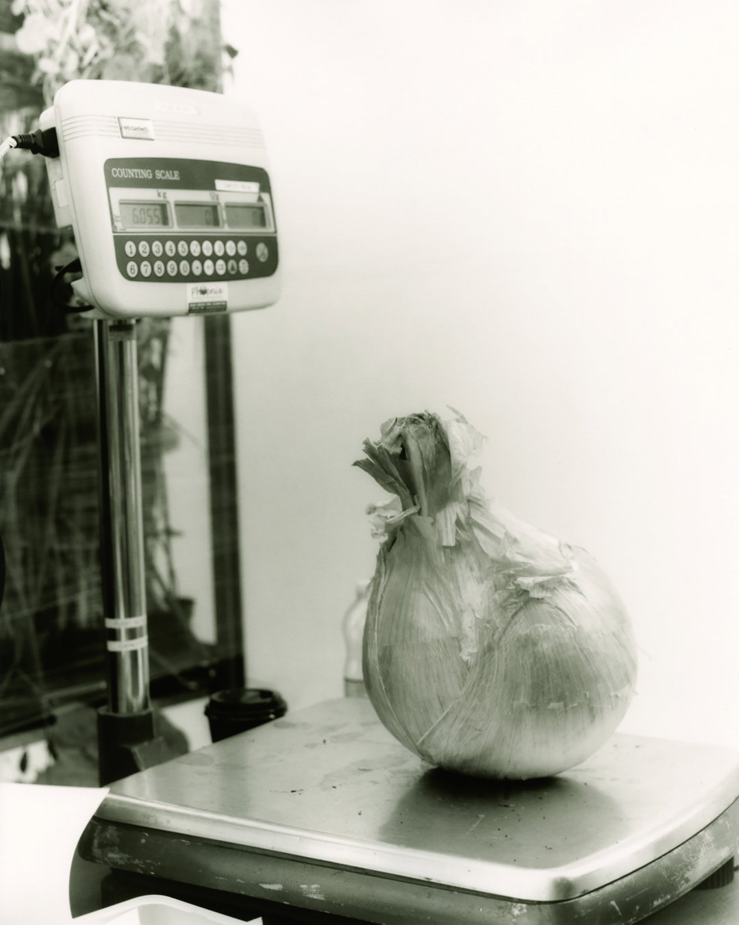 ellen-stewart-sowing-the-sod-pho-itsnicethat05
