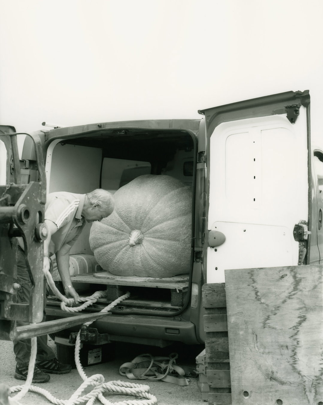 ellen-stewart-sowing-the-sod-pho-itsnicethat10