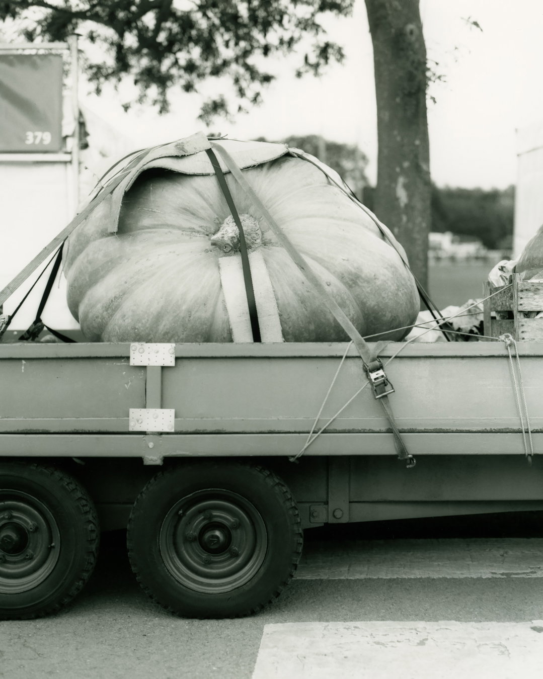 ellen-stewart-sowing-the-sod-pho-itsnicethat12