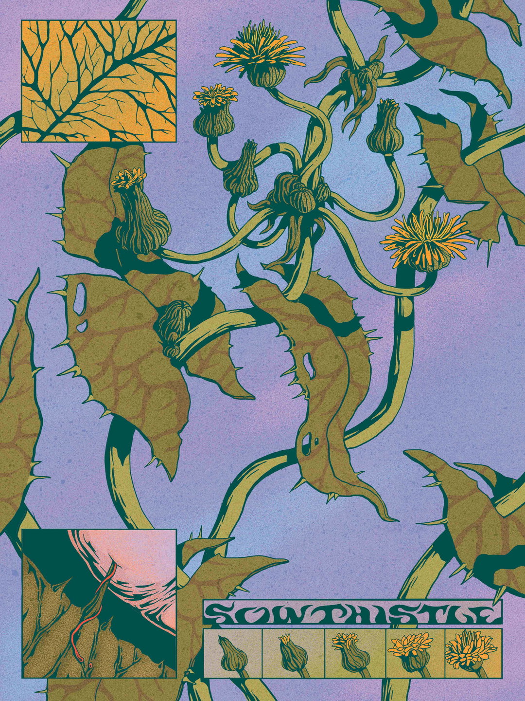 Micha Huigen’s illustrations are graphic and full of vibrant, secretive life