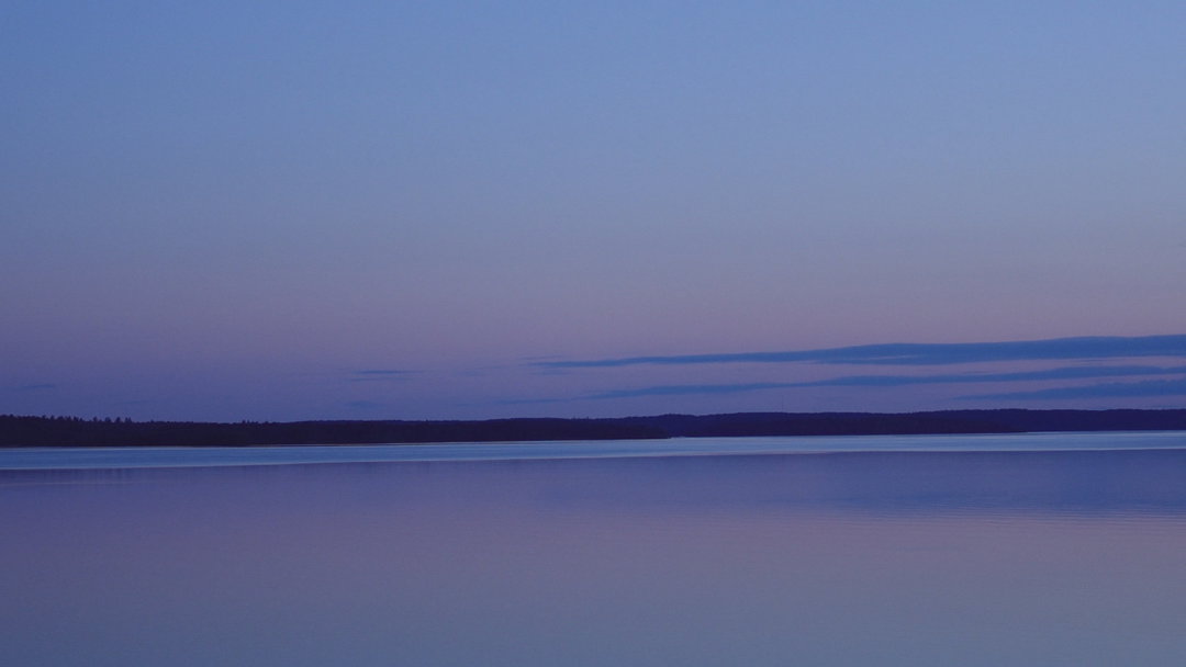 Still from BEYOND THE VISIBLE - HILMA AF KLINT courtesy Modern Films.tif_art_film_itsnicethat.jpg