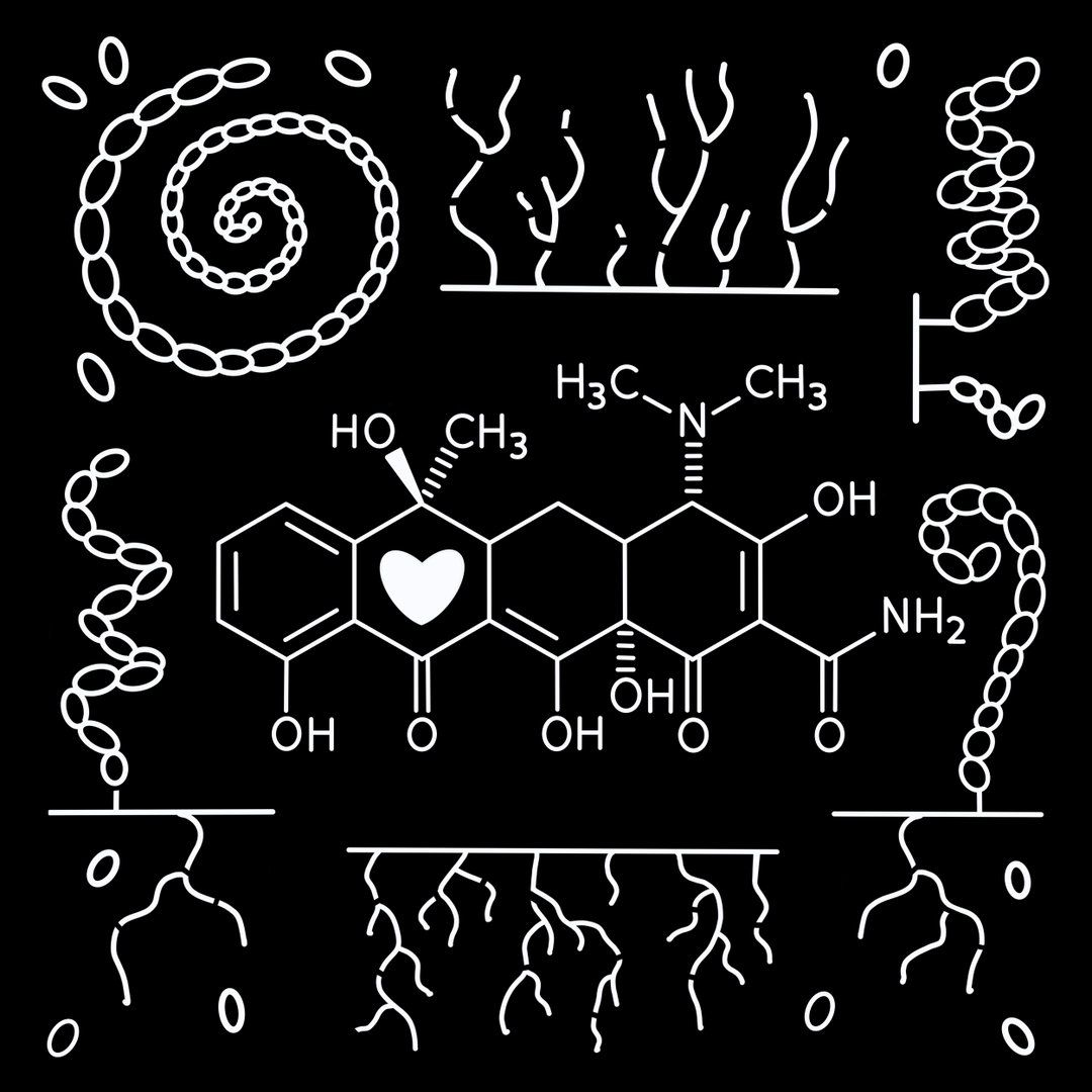 TracyDebenport-Streptomyces-Photography-itsnicethat.jpg