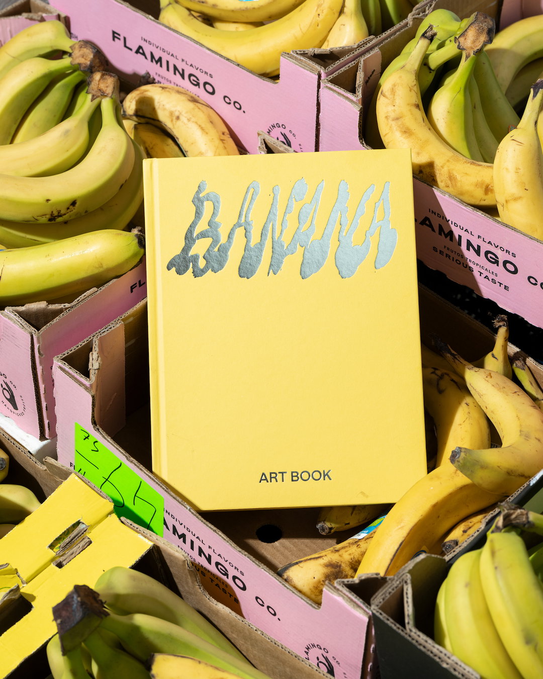Absolutely bananas! In a new book, 100 artists celebrate the fruit basket’s favourite class clown