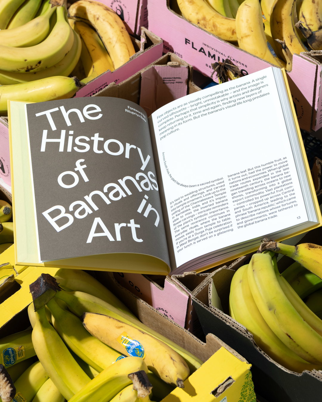 Studio-Trikken-Banana-Art-Book-Publication-ItsNiceThat-4.jpg