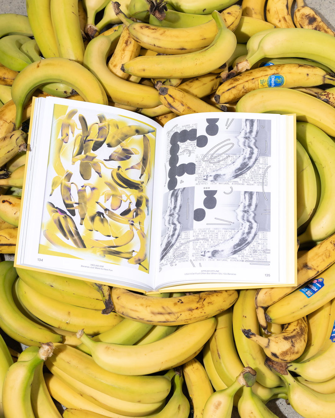 Studio-Trikken-Banana-Art-Book-Publication-ItsNiceThat-7.jpg