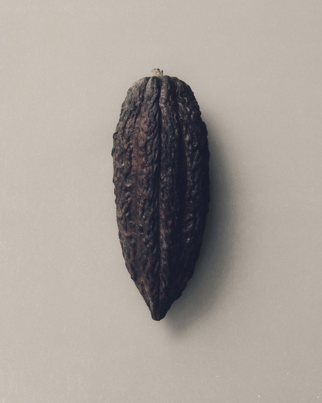 Studio-Tyrrell-Manta-Chocolate-Graphic-Design-ItsNiceThat-1.jpg
