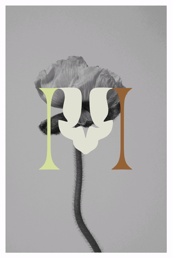 studio-leichtfried-gd-itsnicethat14