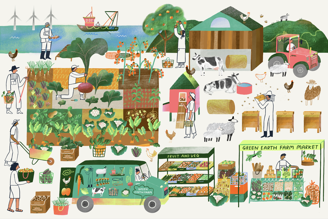 maisy-summer-educational-illo-itsnicethat08