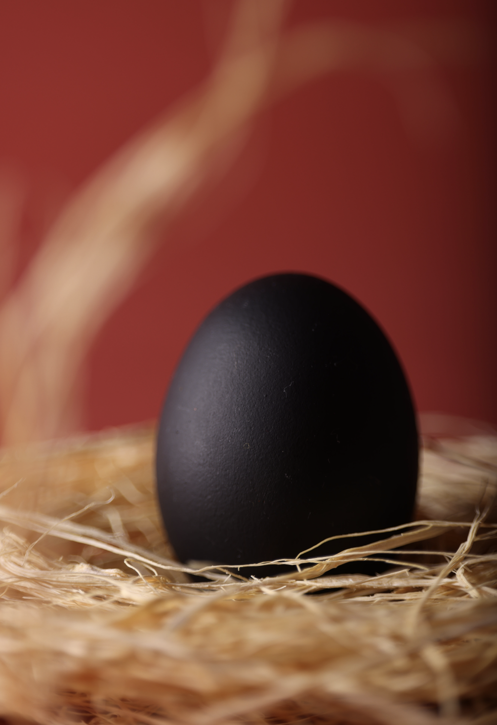 Symbols&Rituals2.egg.png