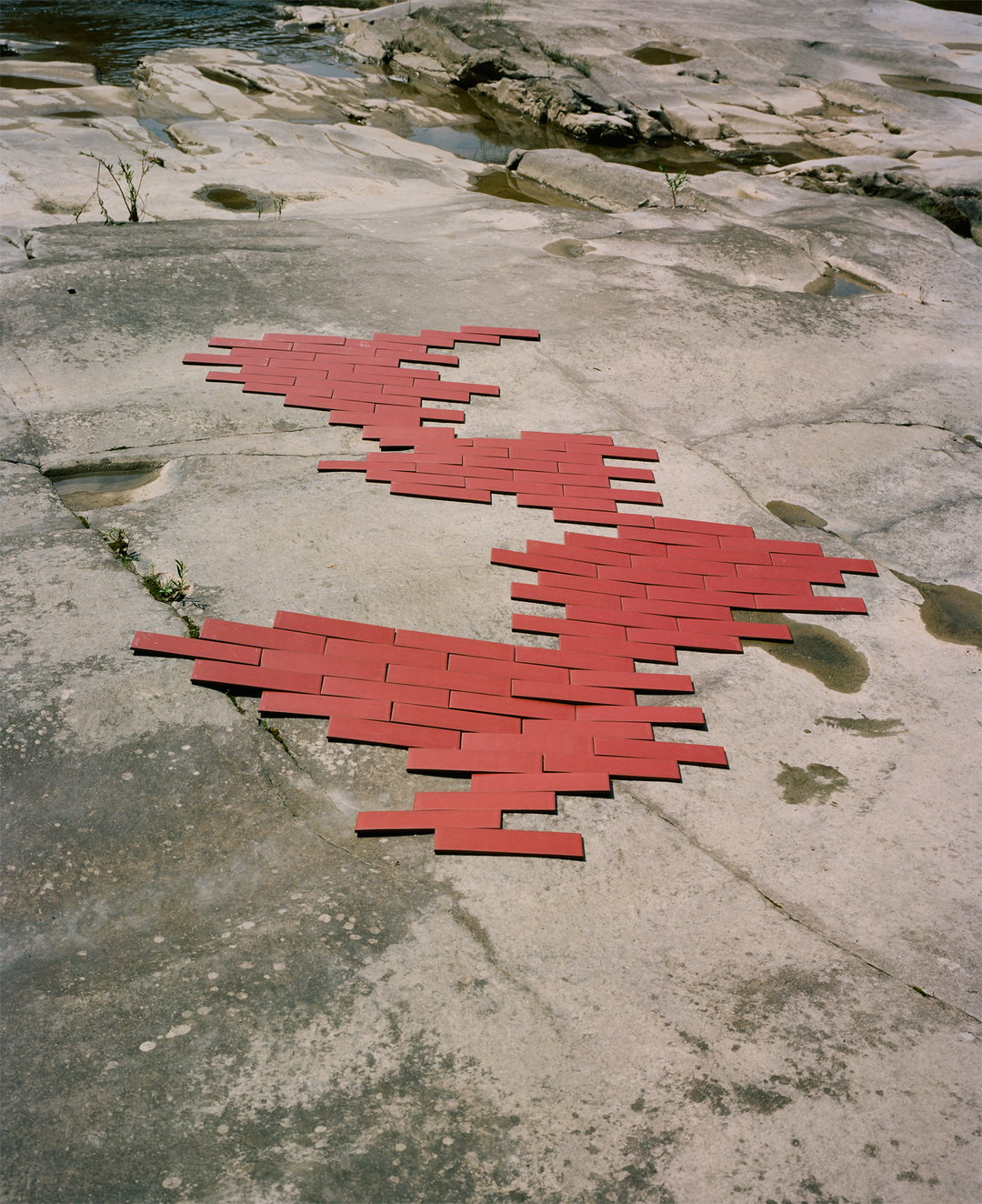 Synchrodogs-SlightlyAltered-Photography-itsnicethat-06.jpg