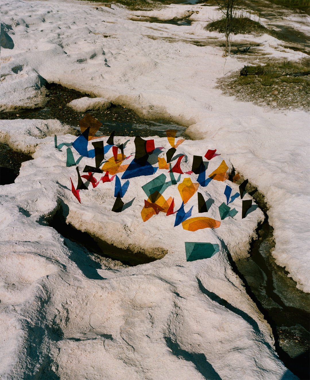 Synchrodogs-SlightlyAltered-Photography-itsnicethat-09.jpg