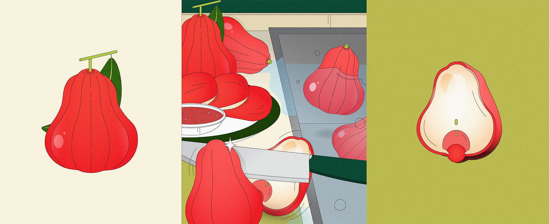 tarn-susumpow-illo-itsnicethat11