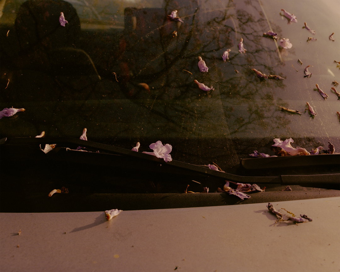 Tessa-Ruger-Mañana-Mañana-Photography-Project-itsnicethat4.jpg