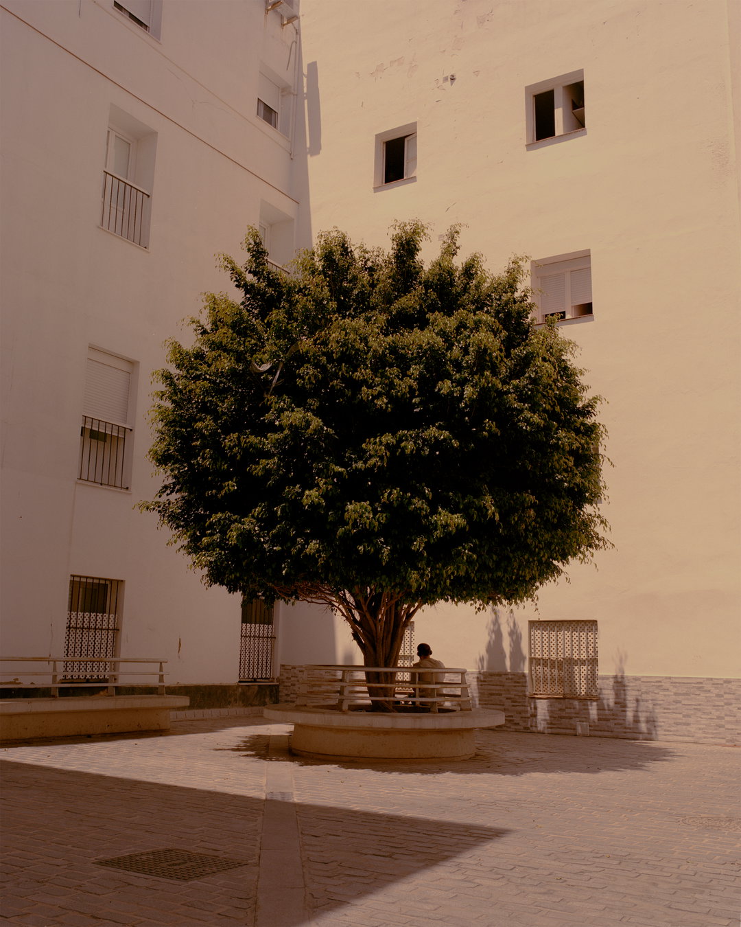 Tessa-Ruger-Mañana-Mañana-Photography-Project-itsnicethat8.jpg