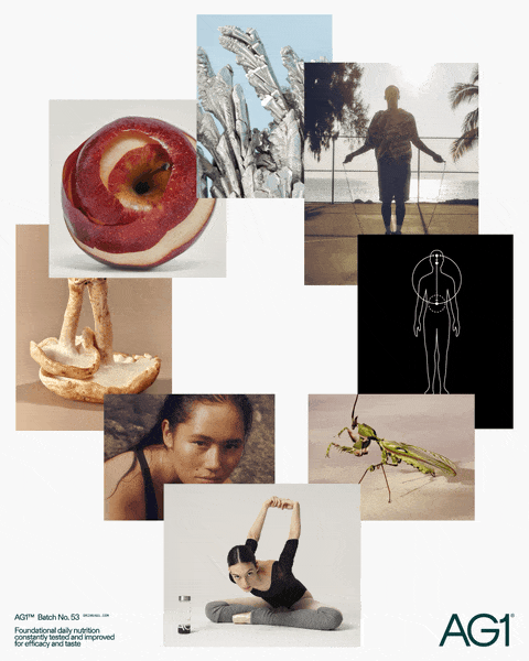 TheNewCompany_AG1_Poster Small.gif