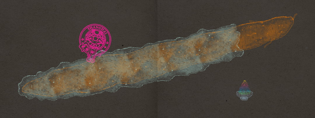MotherShanghai-TheBigDipper-Recipe-GraphicDesign.jpg