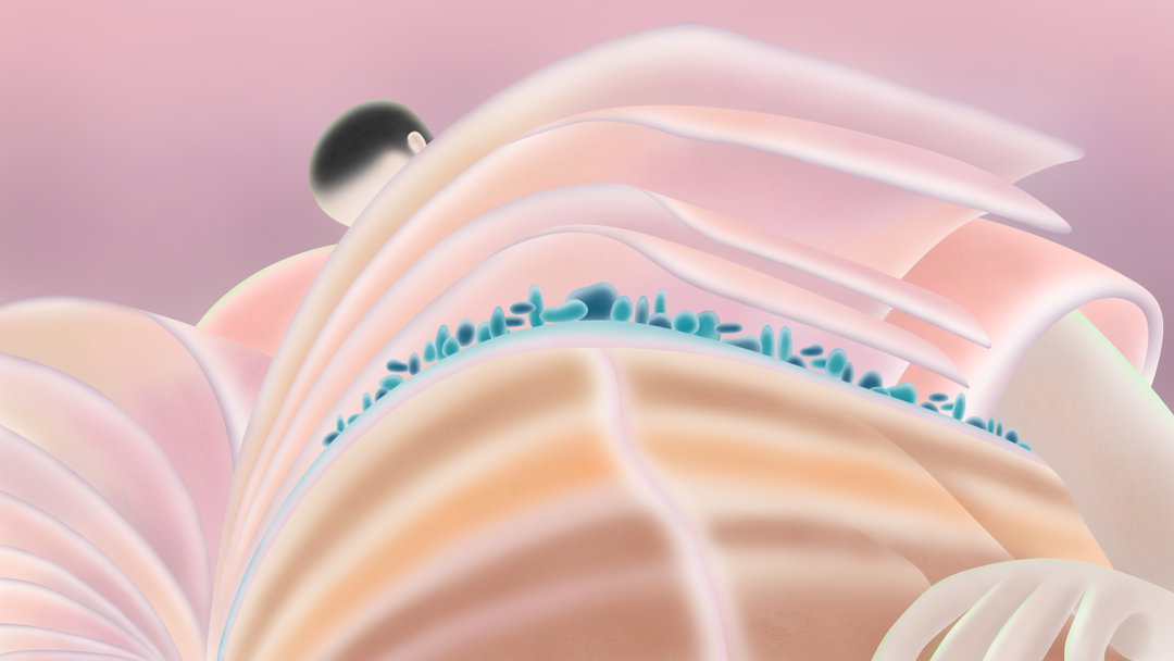 hoi-chan-illo-itsnicethat11