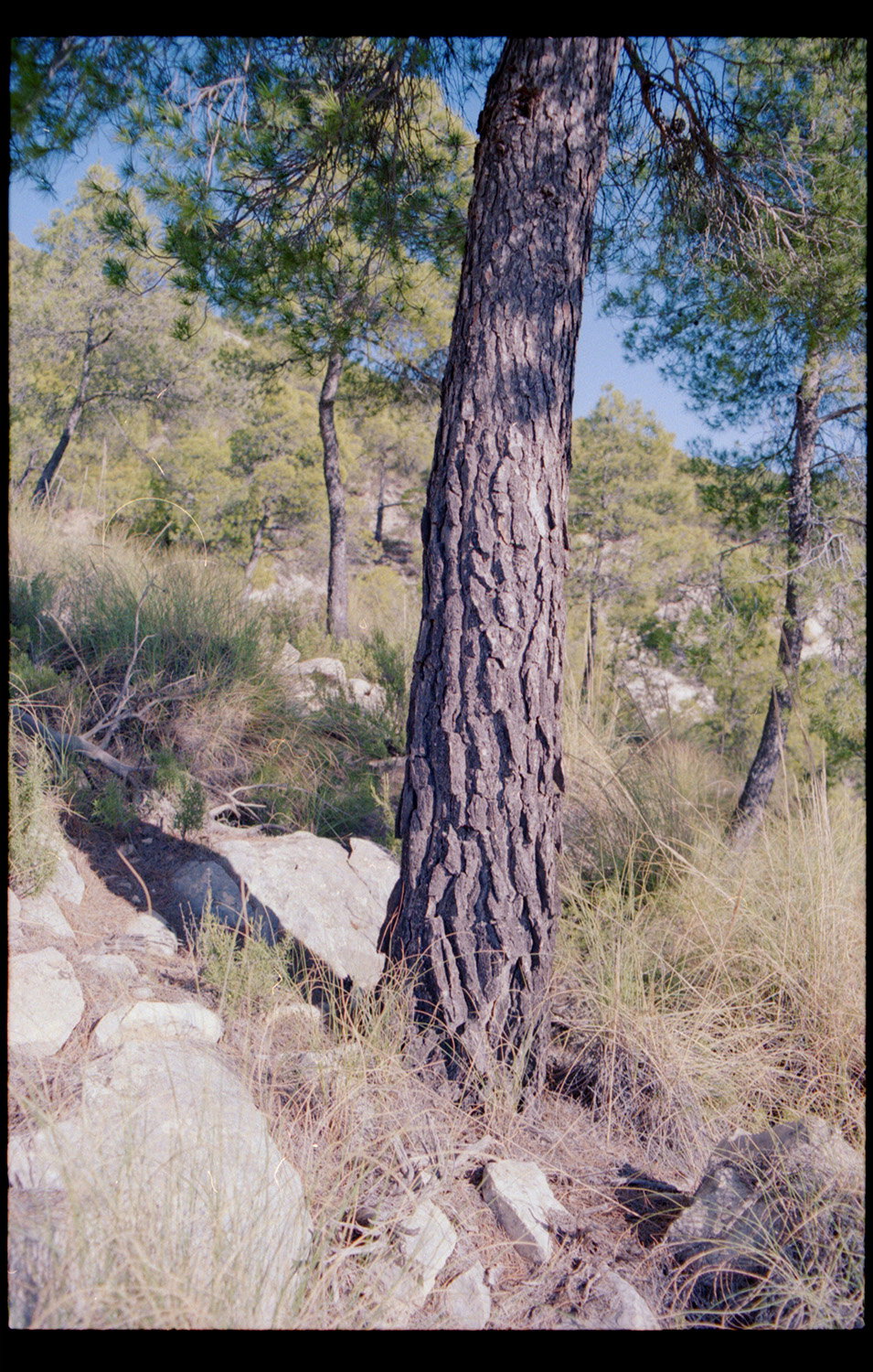 Marie-Smith-the-wanderer-photography-itsnicethat-03