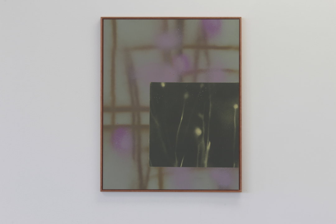 EuphrosyneAndrews-VerebenaMist-Art-itsnicethat.JPG