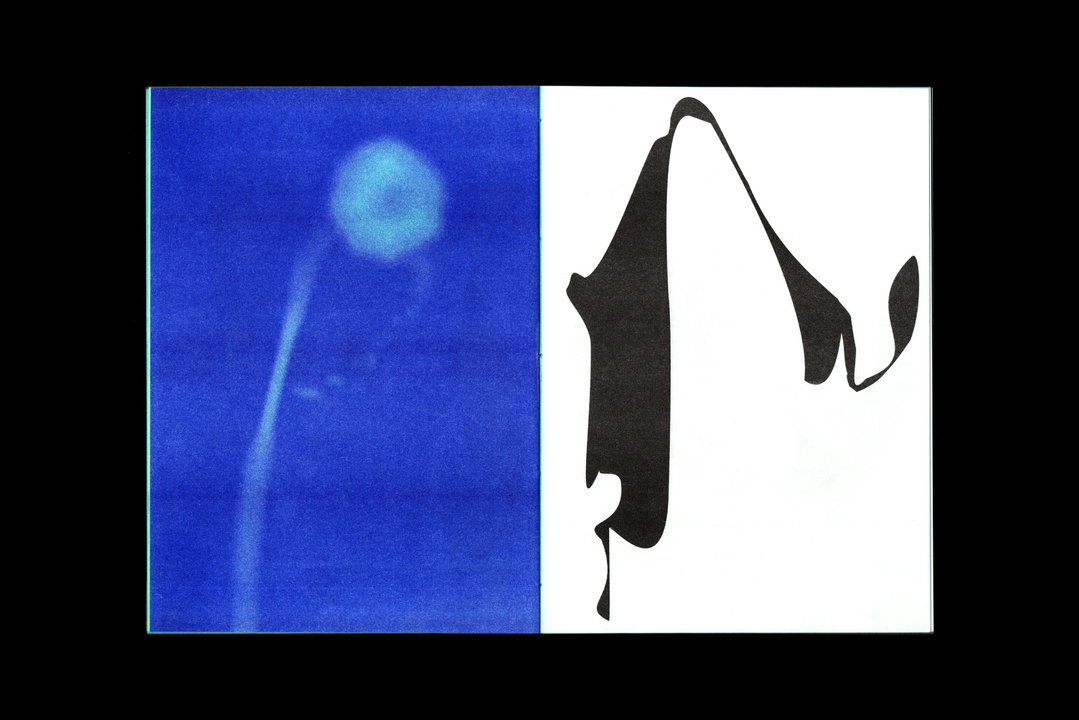 Vrints-Kolsteren-Graphic-Design-Discover-itsnicethat7.jpg