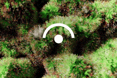 weed.de-that-thing-gd-itsnicethat10