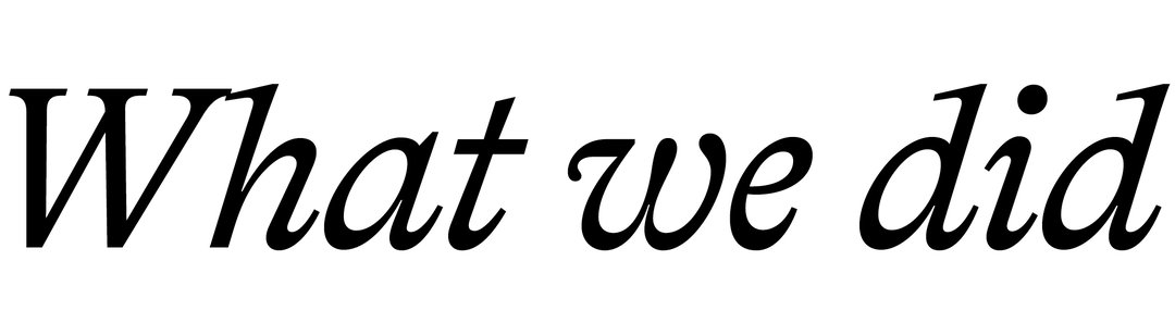 WWU_ What we did.jpg