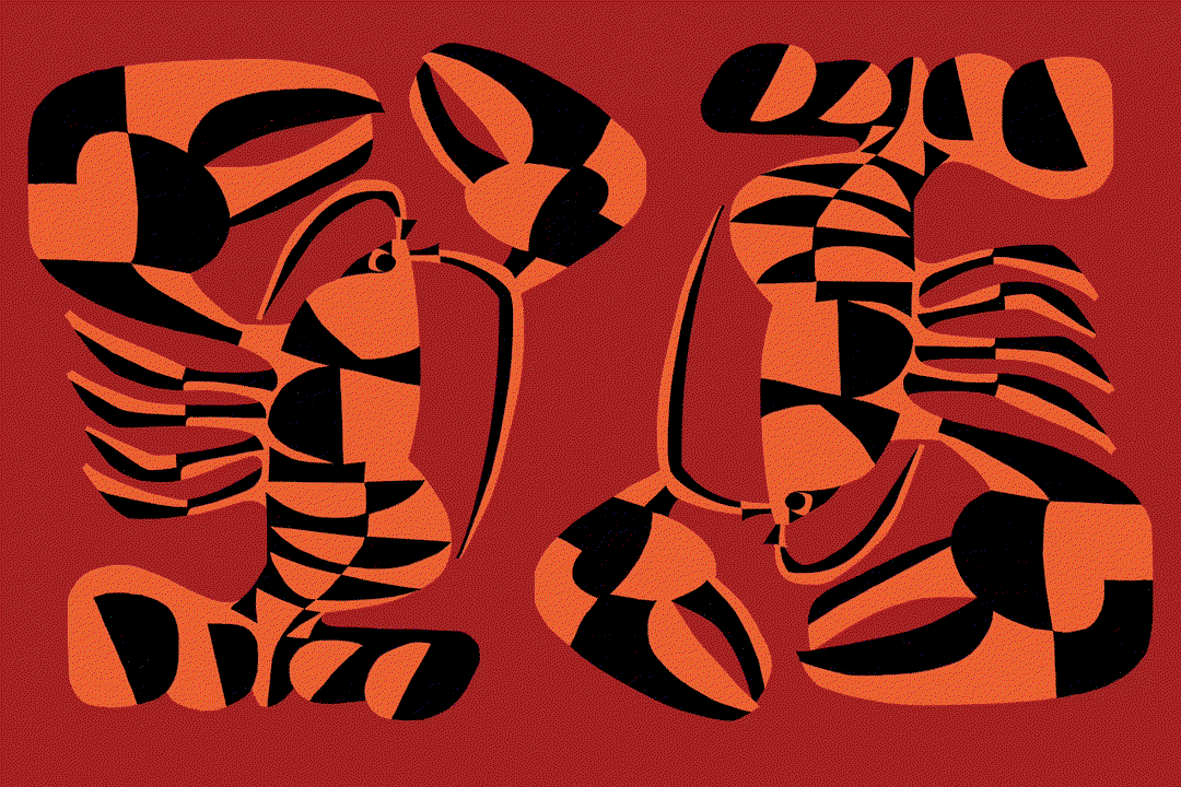 Wedge-Diana-graphic-design-project-itsnicethat7.gif