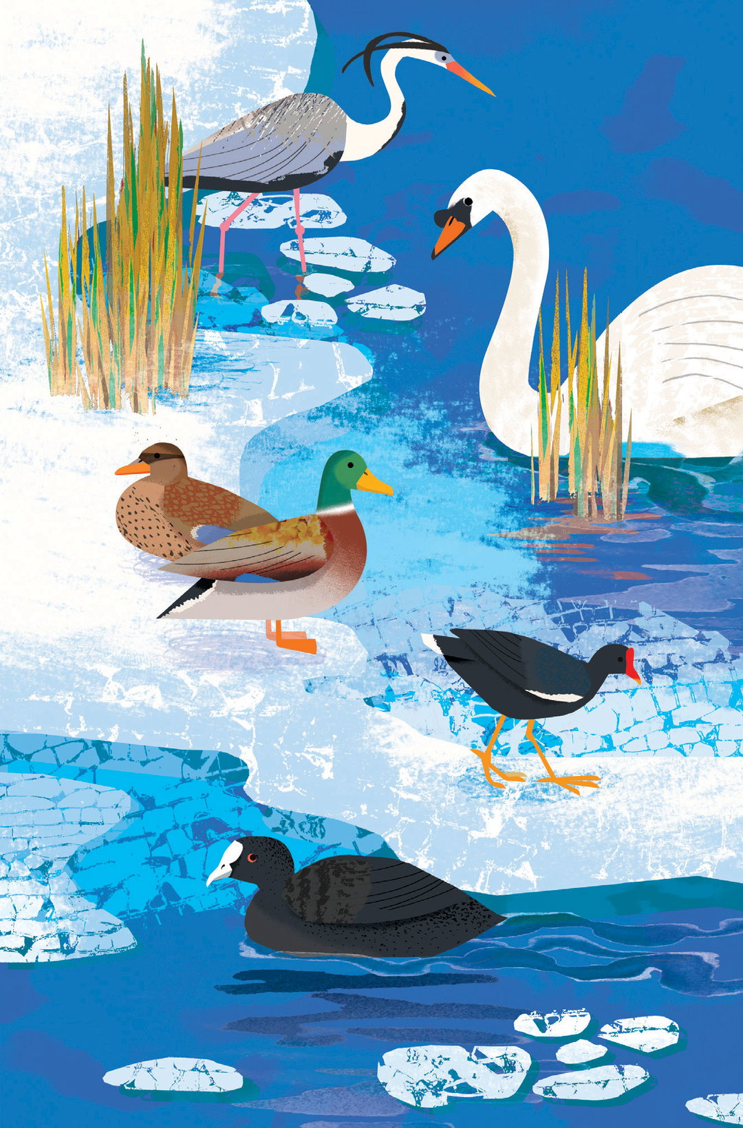 What-to-look-for_natasha-durley_ladybird-books_illustration_itsnicethat1.jpg