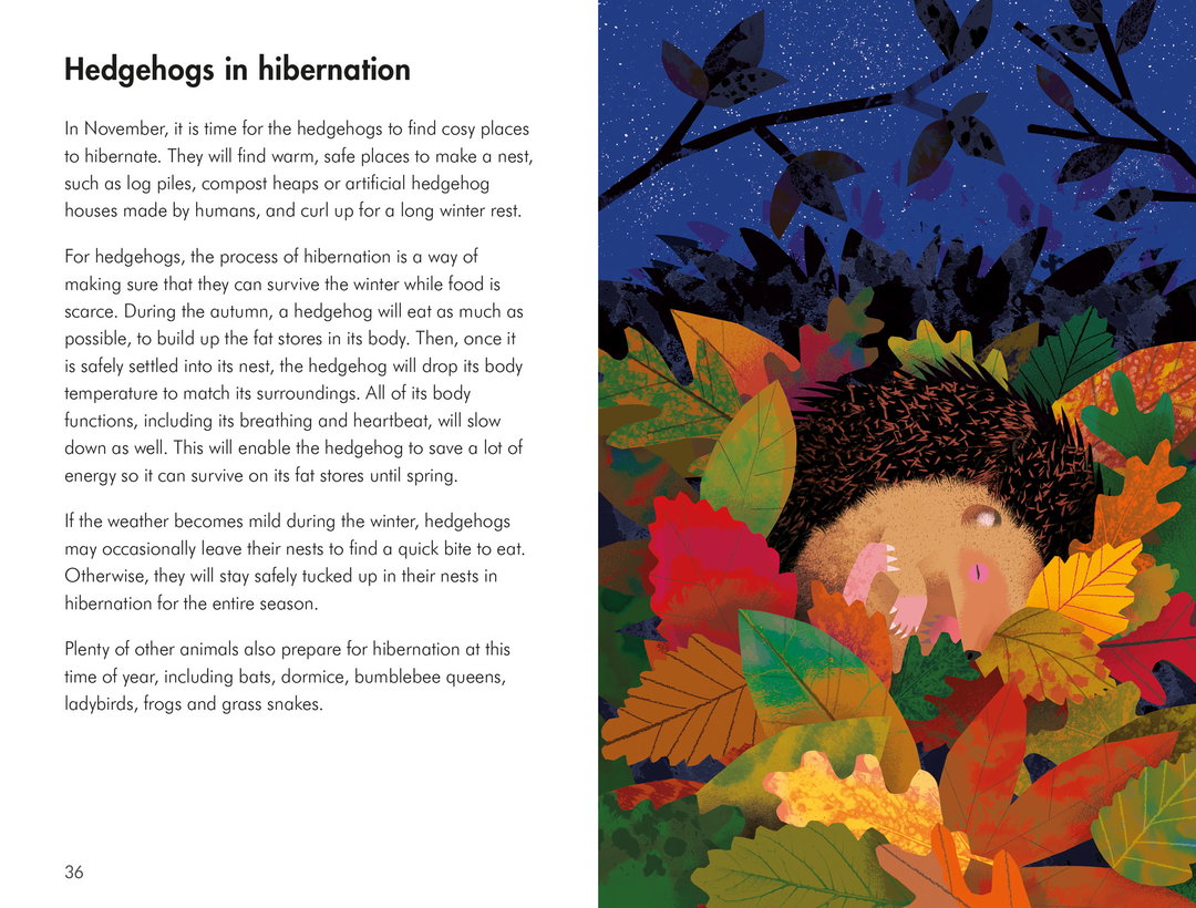 What-to-look-for_natasha-durley_ladybird-books_illustration_itsnicethat3.jpg