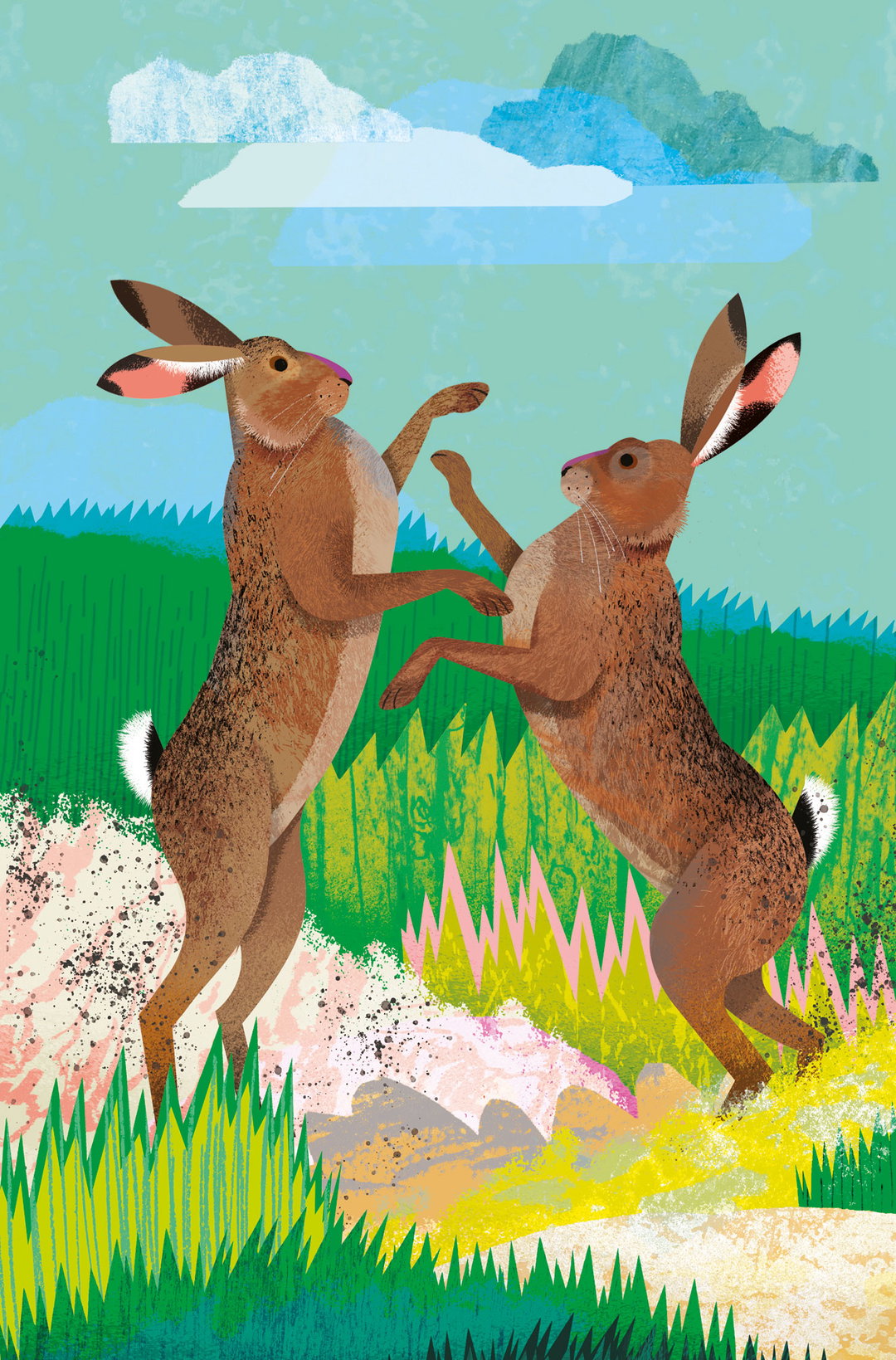 What-to-look-for_natasha-durley_ladybird-books_illustration_itsnicethat4.jpg