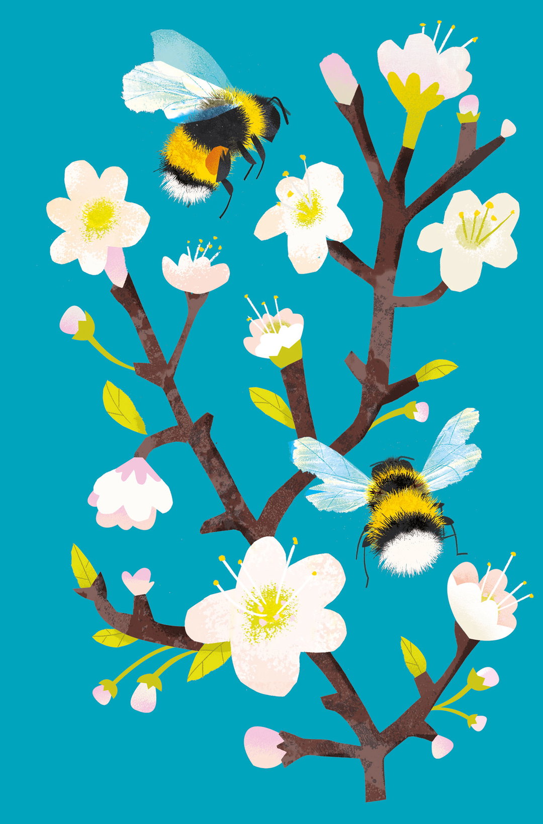 What-to-look-for_natasha-durley_ladybird-books_illustration_itsnicethat5.jpg