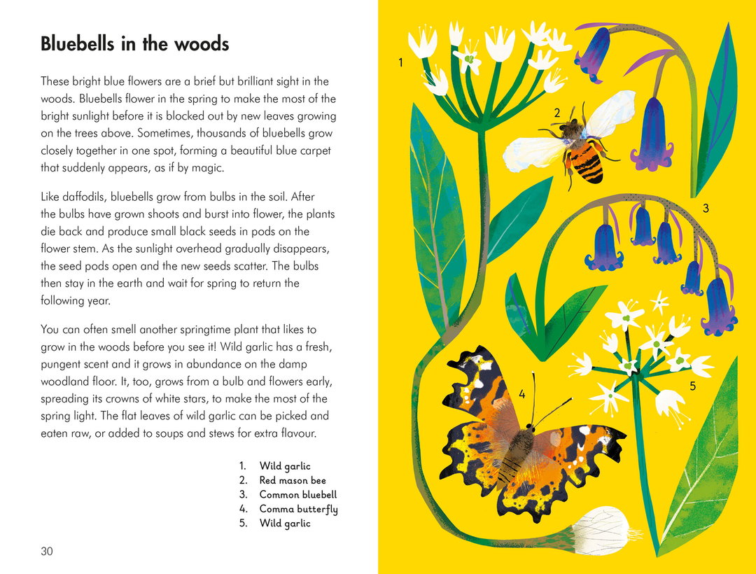 What-to-look-for_natasha-durley_ladybird-books_illustration_itsnicethat6.jpg