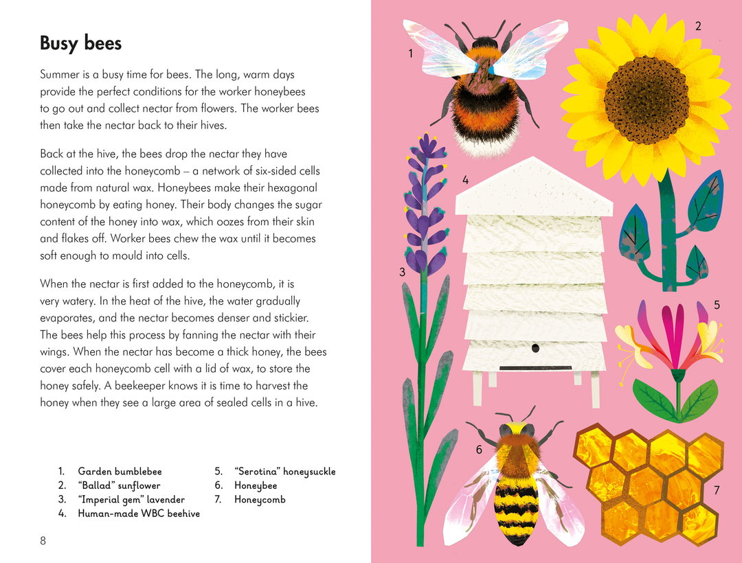 What-to-look-for_natasha-durley_ladybird-books_illustration_itsnicethat8.jpg