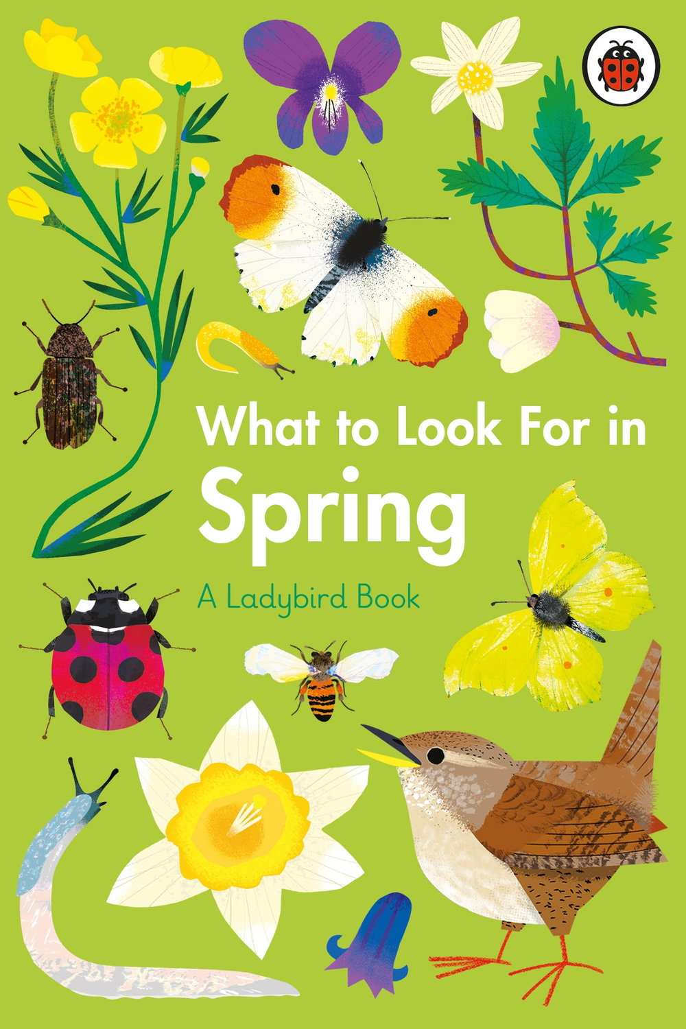 What to Look for in Spring_natasha durley_ladybird books_illustration_itsnicethat.jpg