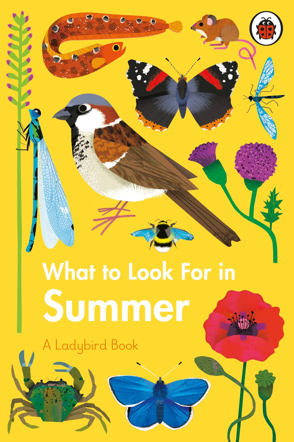What to Look for in Summer_natasha durley_ladybird books_illustration_itsnicethat.jpg
